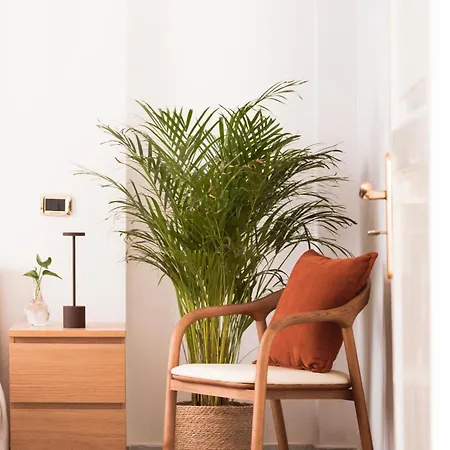 Trame Urbane 萨莱诺