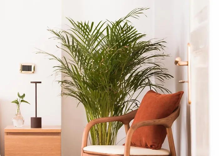 Trame Urbane 萨莱诺