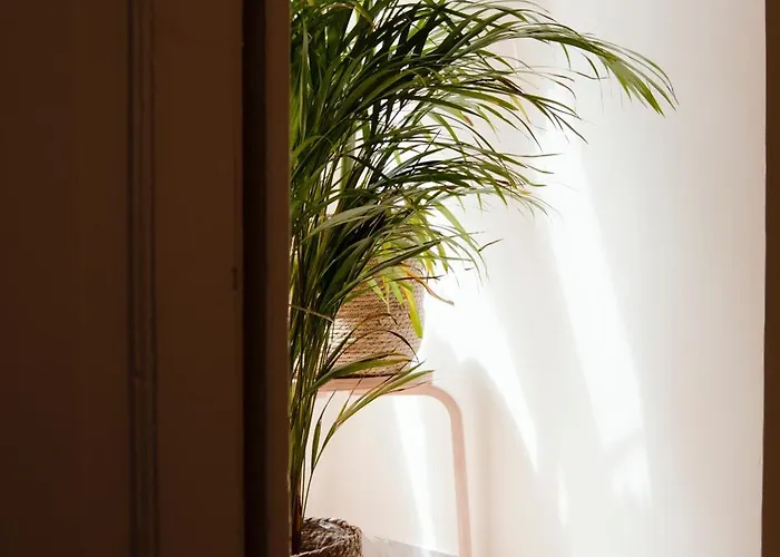 Trame Urbane 萨莱诺